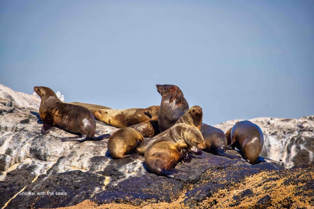 Photo of Others in Narooma