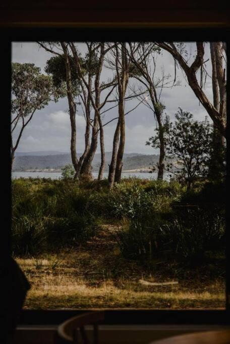 Photo of Others in Great Bay