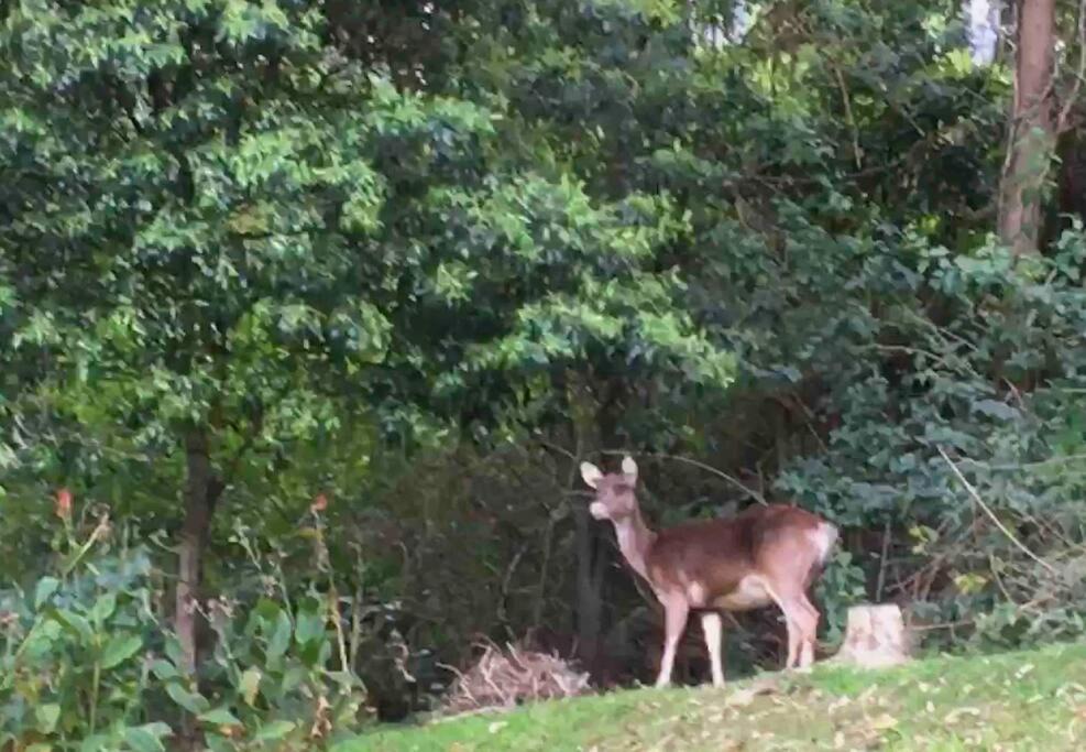 Photo of Others in Stanwell Park