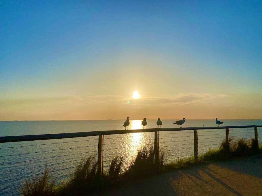 Photo of Others in Mordialloc