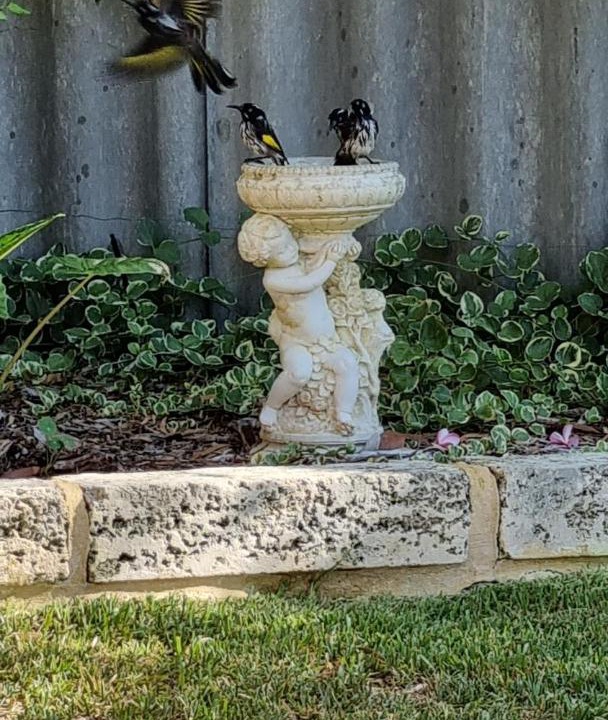 Photo of Others in Yanchep