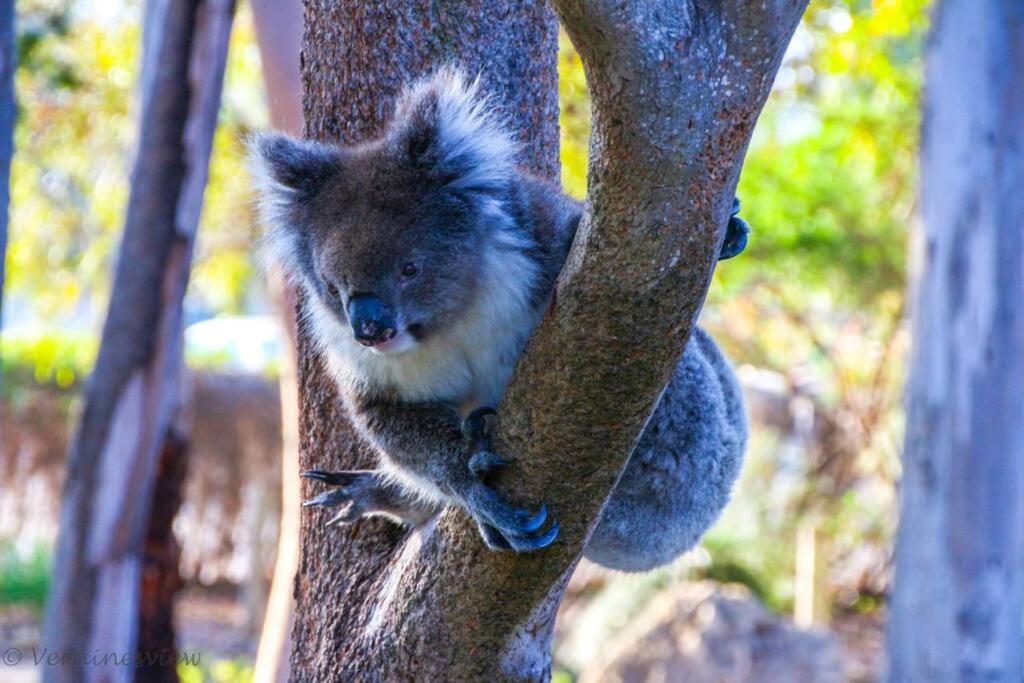 Photo of Others in Yanchep