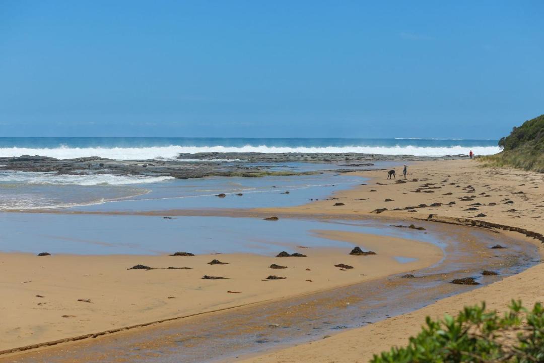 Photo of Others in Skenes Creek