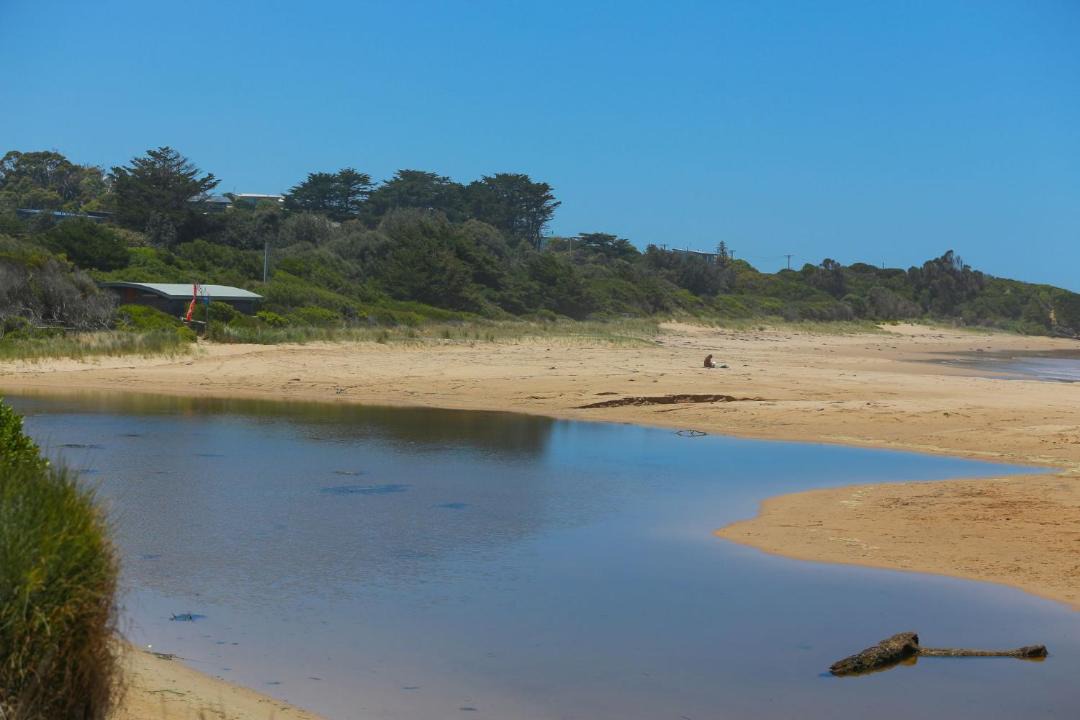 Photo of Others in Skenes Creek
