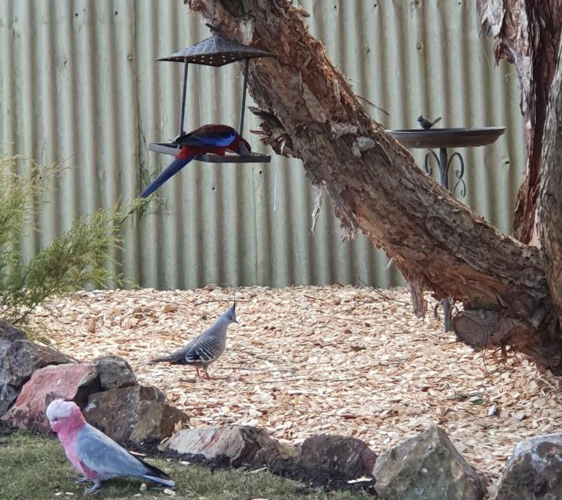 Photo of Others in Berrima