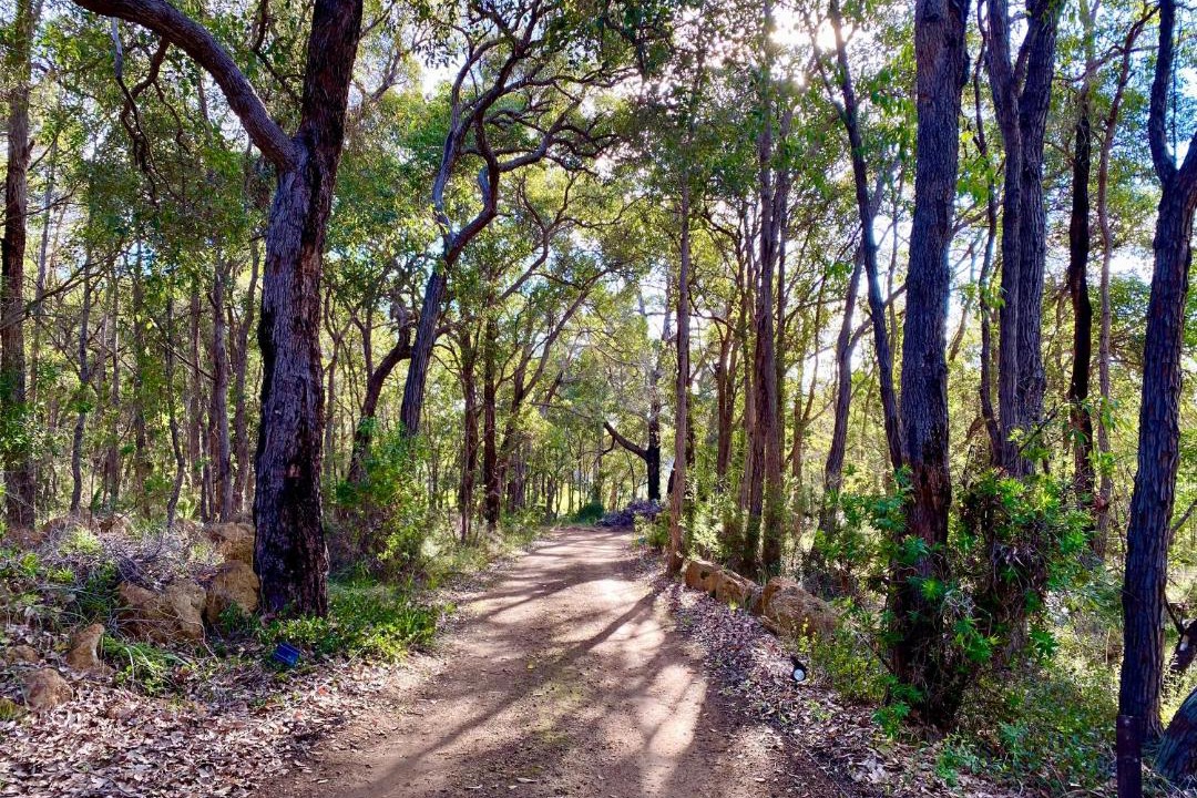 Photo of Others in Porongurup