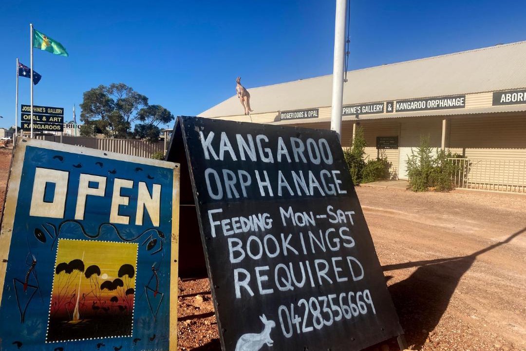 Photo of Others in Coober Pedy
