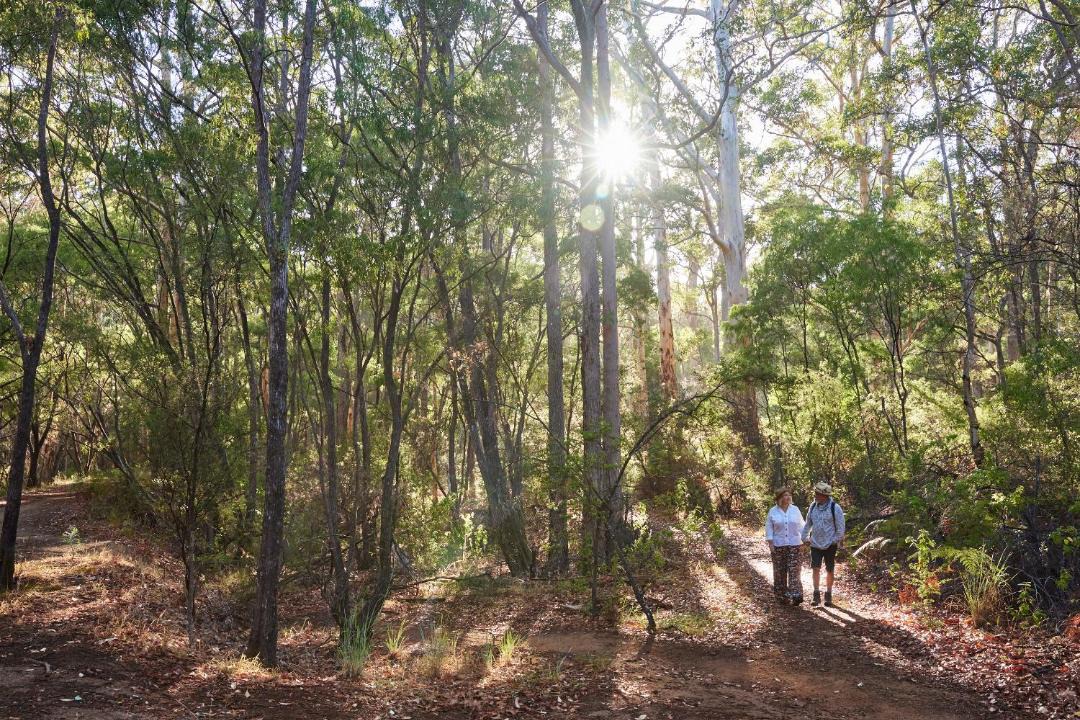 Photo of Others in Margaret River