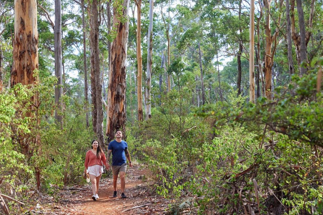 Photo of Others in Margaret River