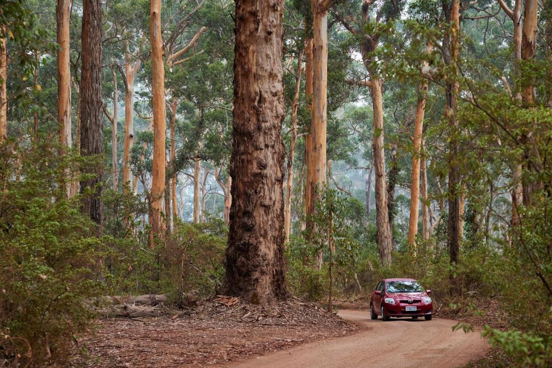 Photo of Others in Margaret River