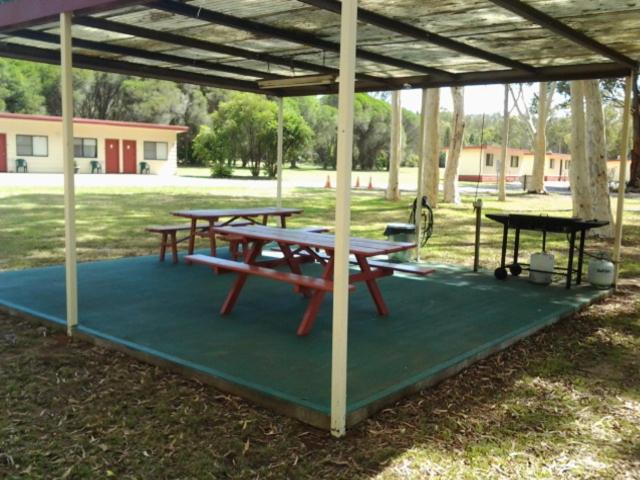 Photo of Others in Coonabarabran