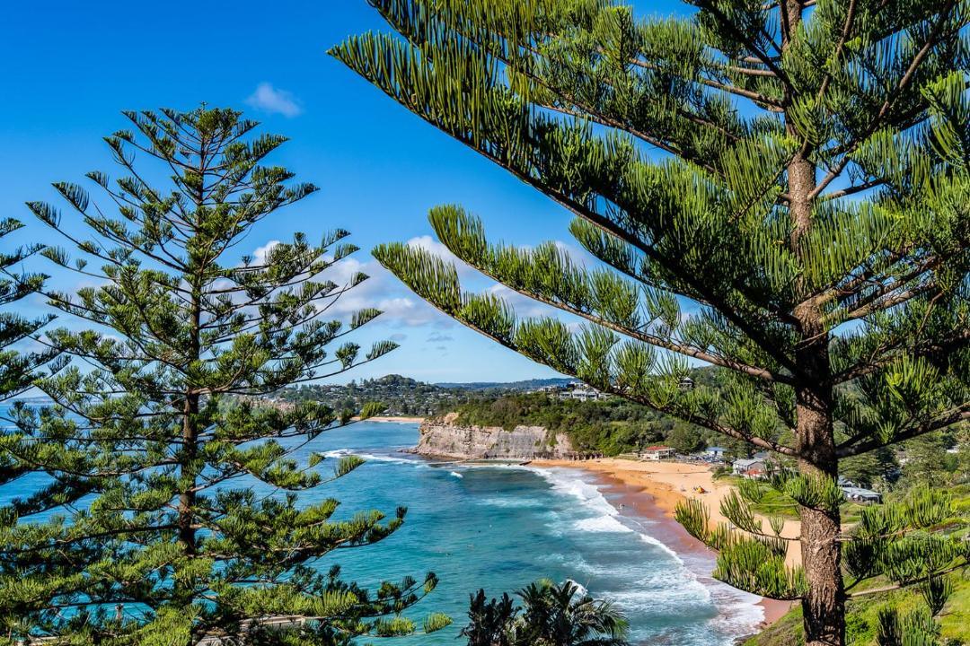 Photo of Others in Bilgola Beach