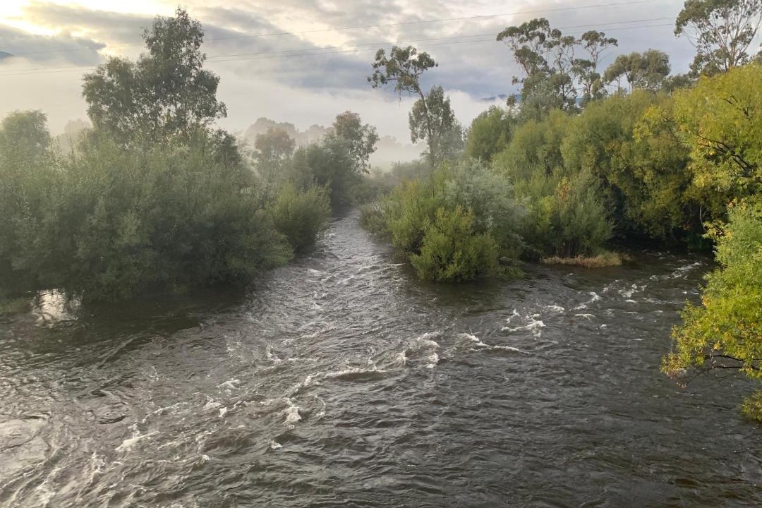 Photo of Others in Tawonga