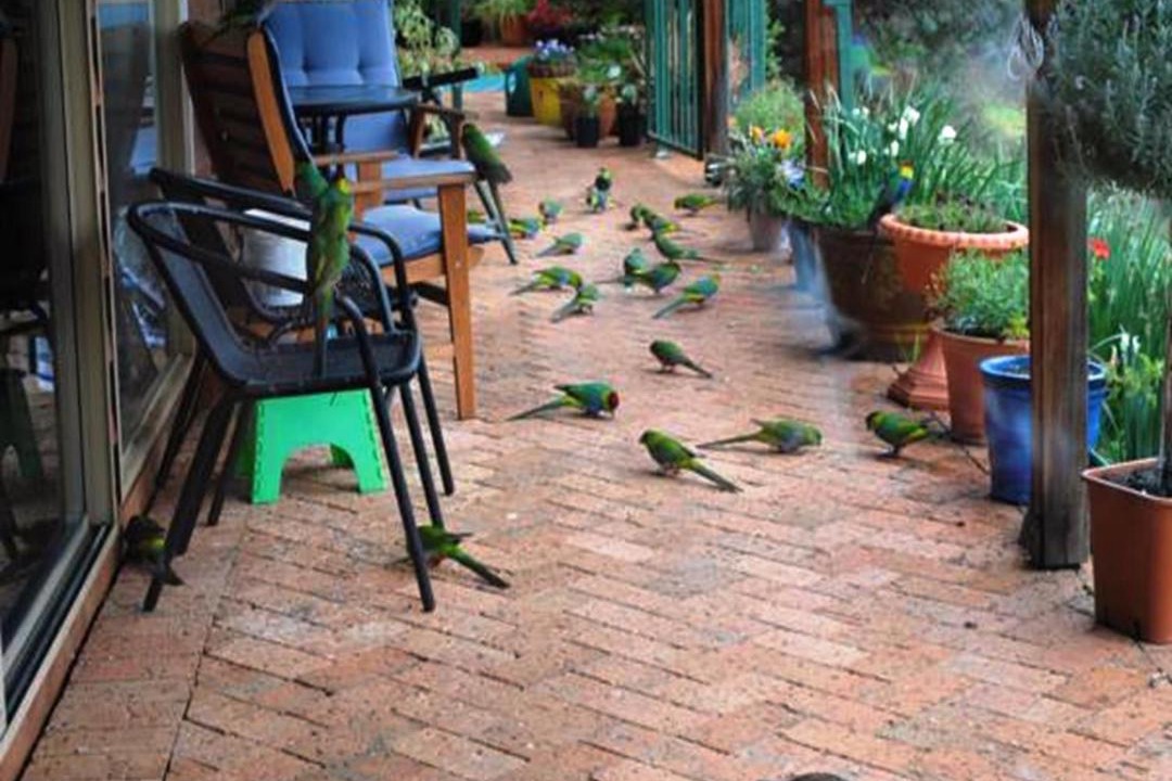 Photo of Others in Bridgetown