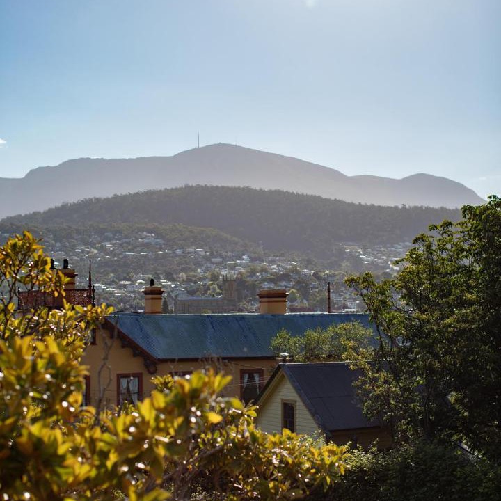 Photo of Others in Glebe