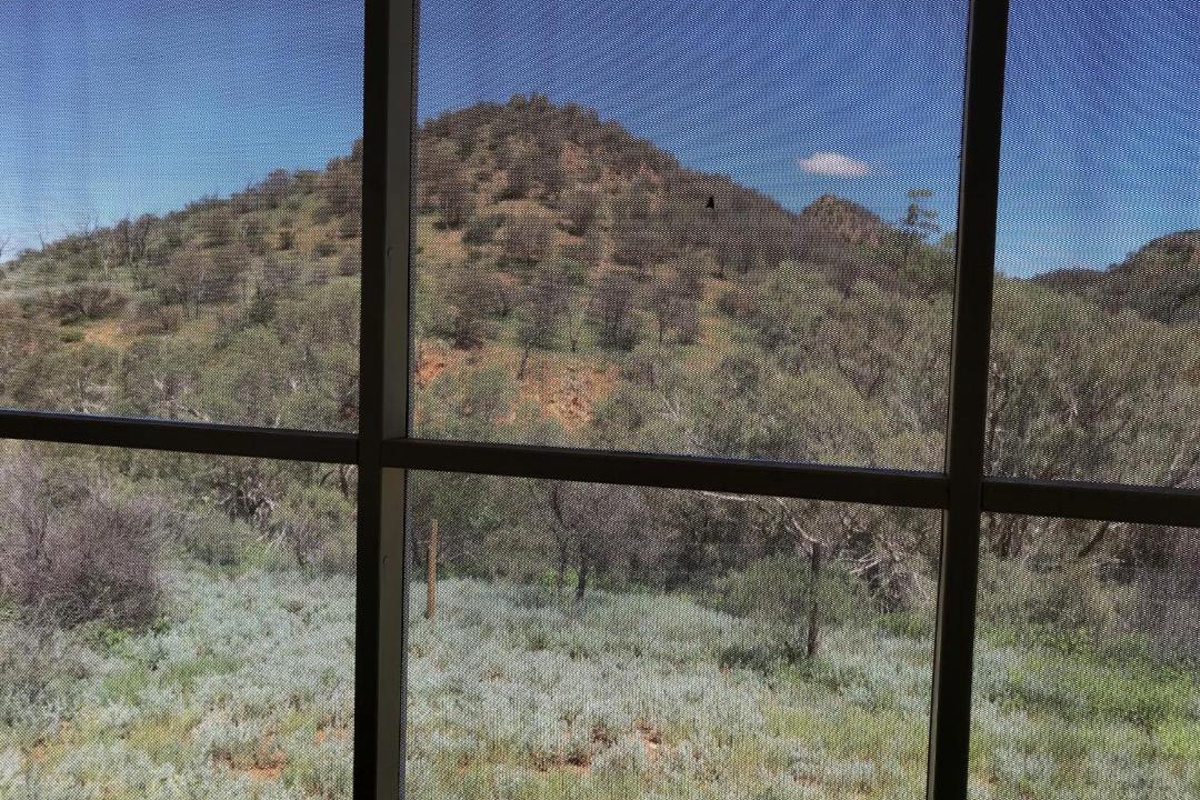 Photo of Others in Gammon Ranges