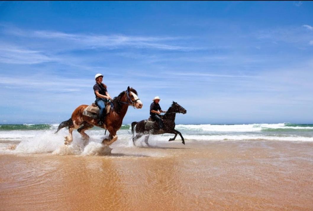 Photo of Others in Nelson Bay