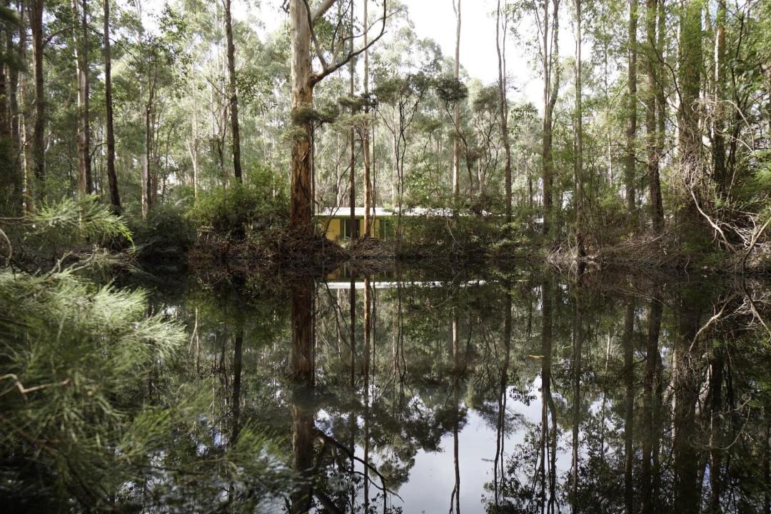 Photo of Others in Yeagarup