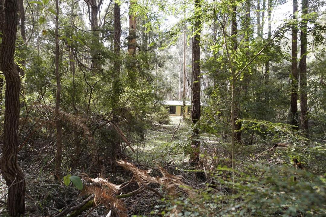 Photo of Others in Yeagarup