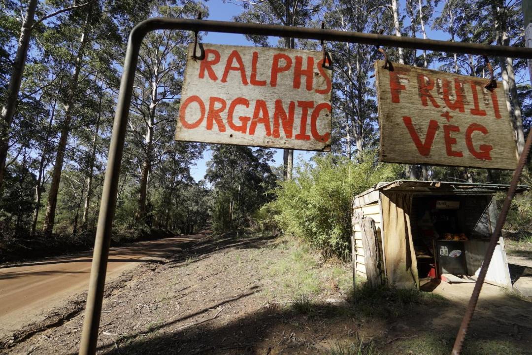 Photo of Others in Yeagarup