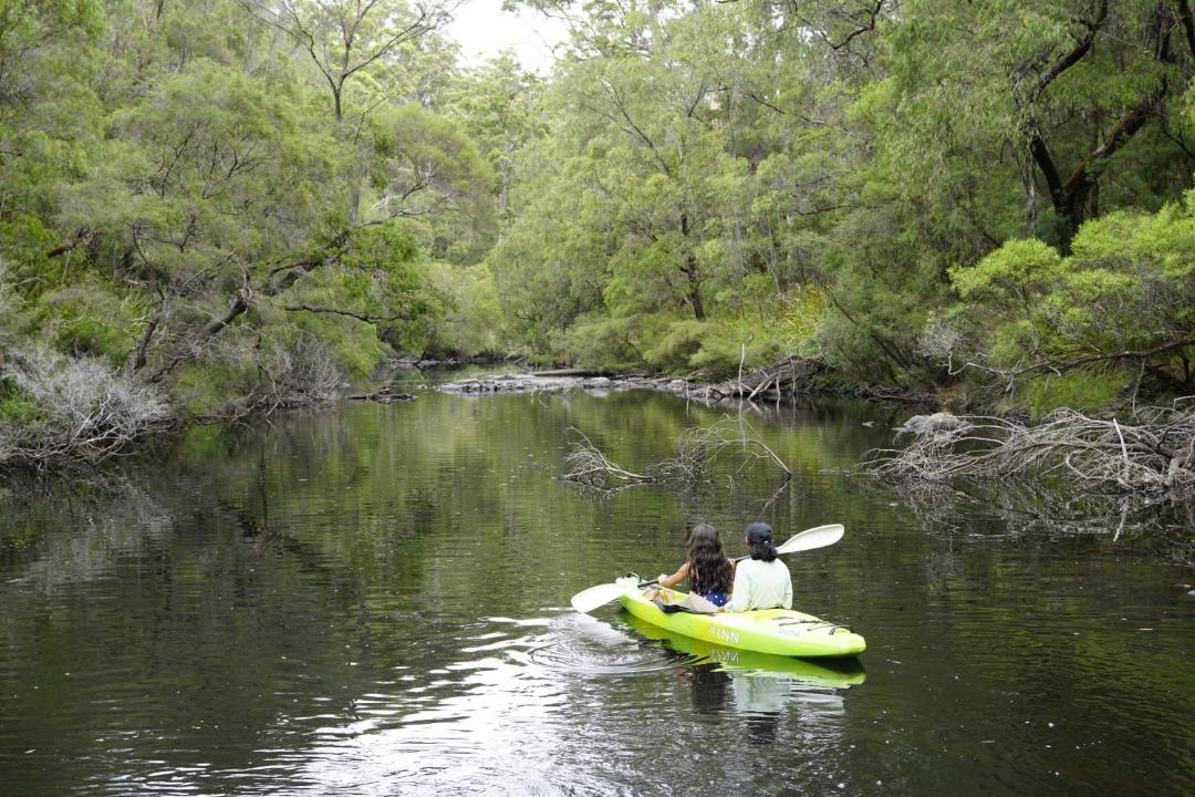 Photo of Others in Yeagarup
