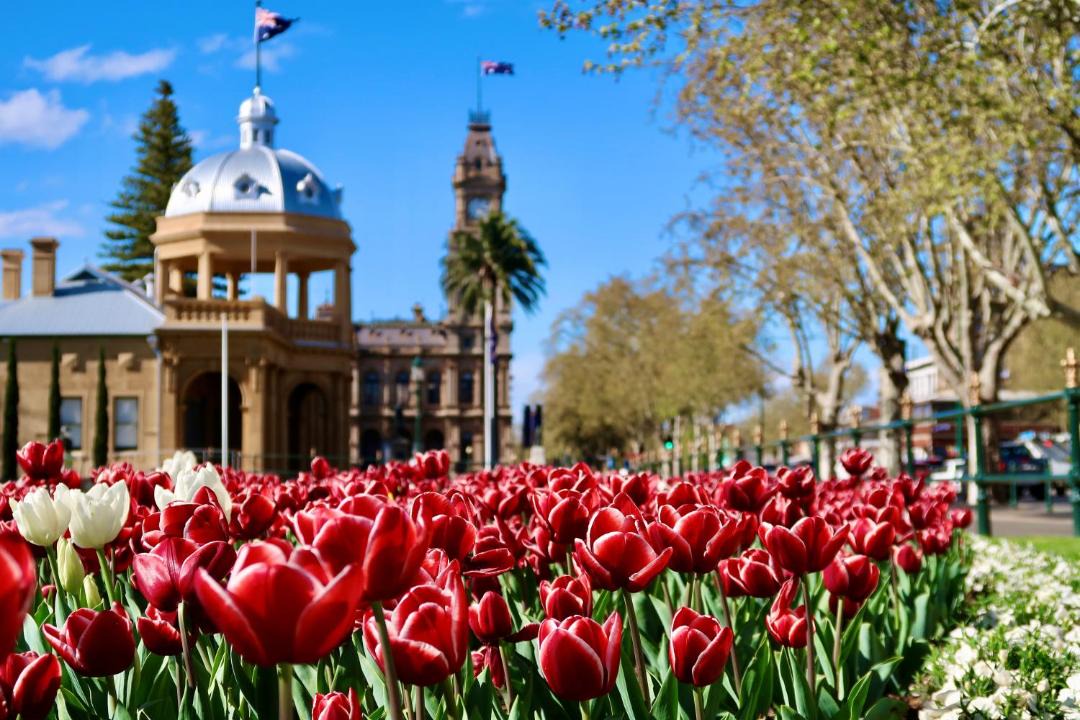 Photo of Others in Bendigo