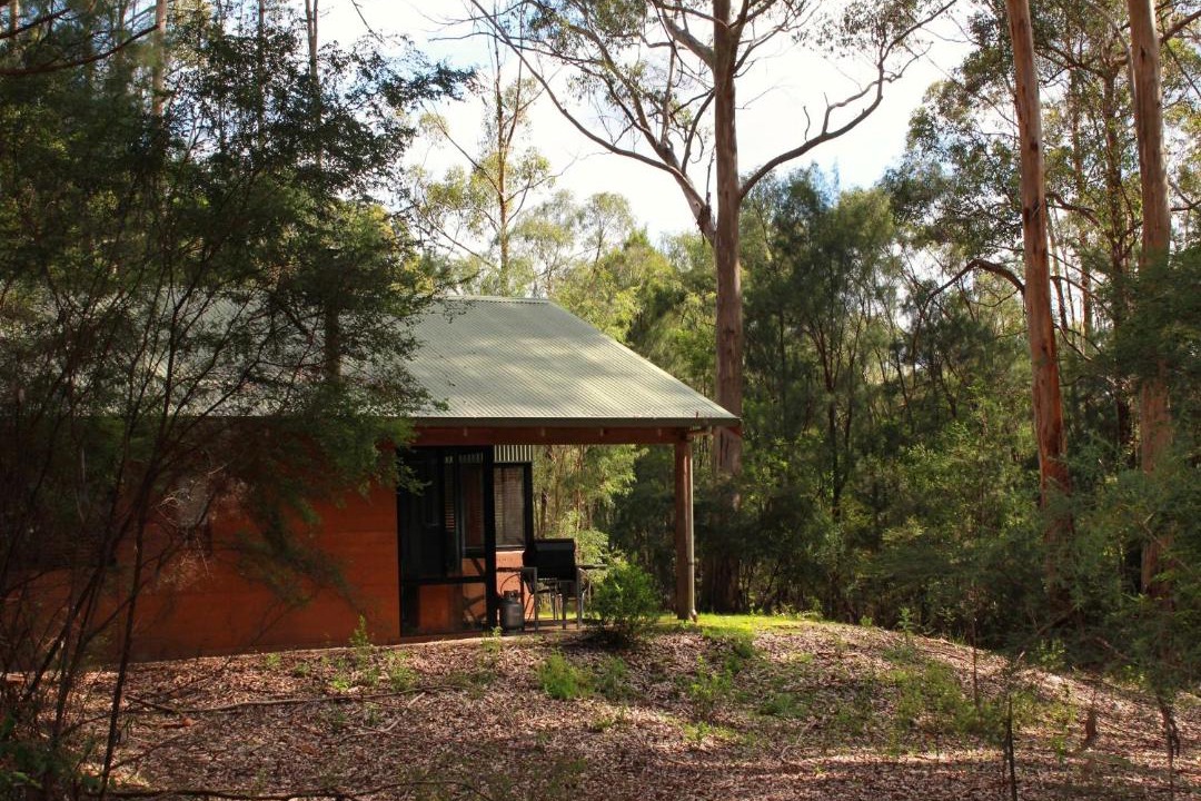 Photo of Others in Yeagarup