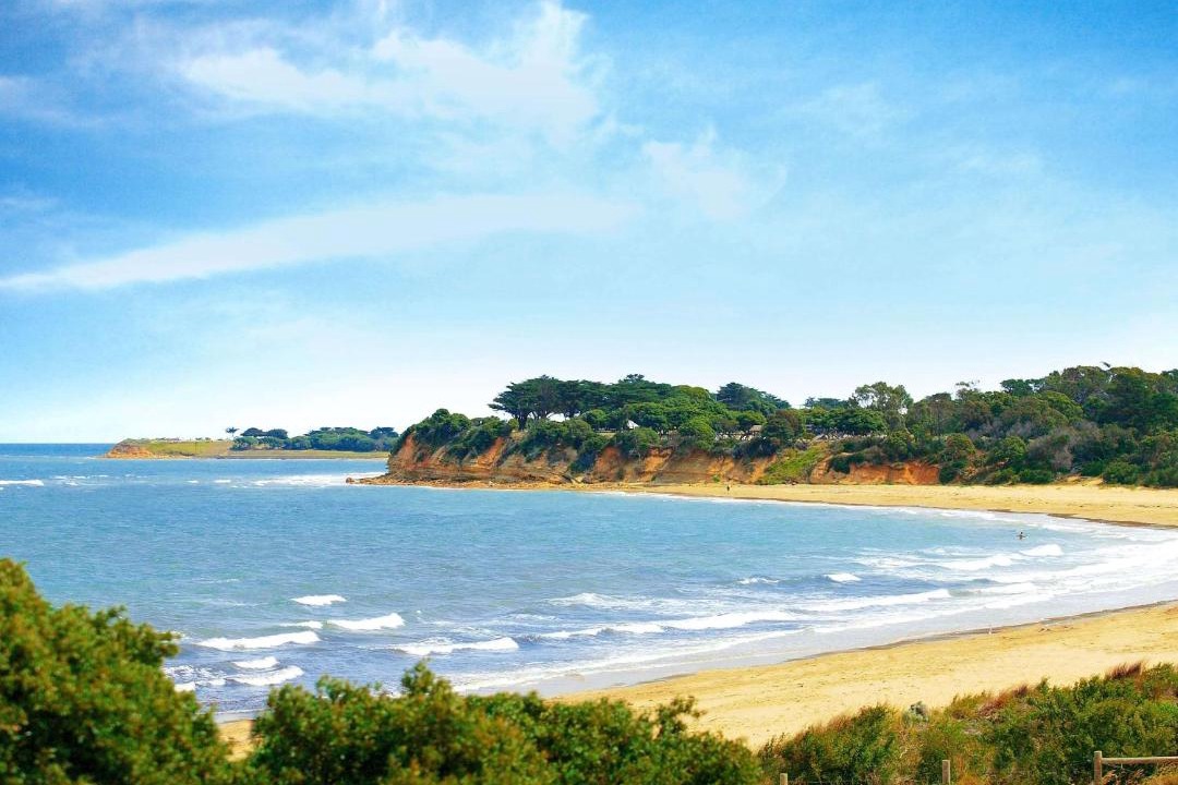 Photo of Others in Torquay
