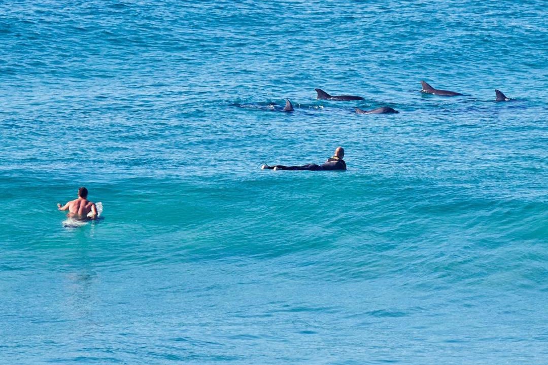Photo of Others in North Arm Cove