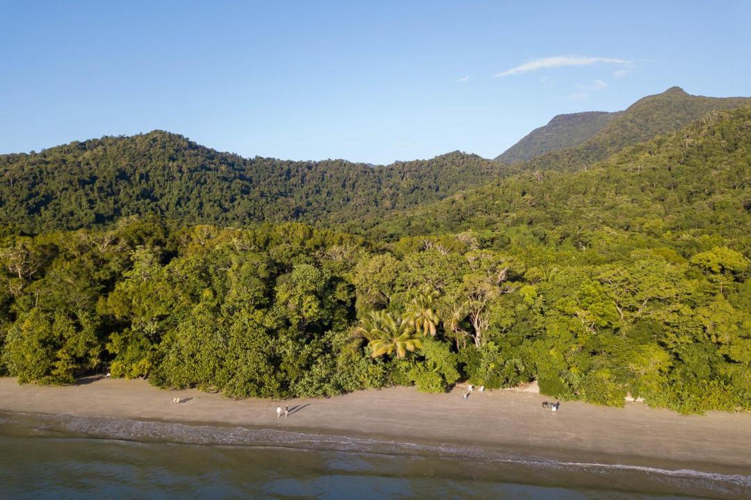 Photo of Others in Cape Tribulation