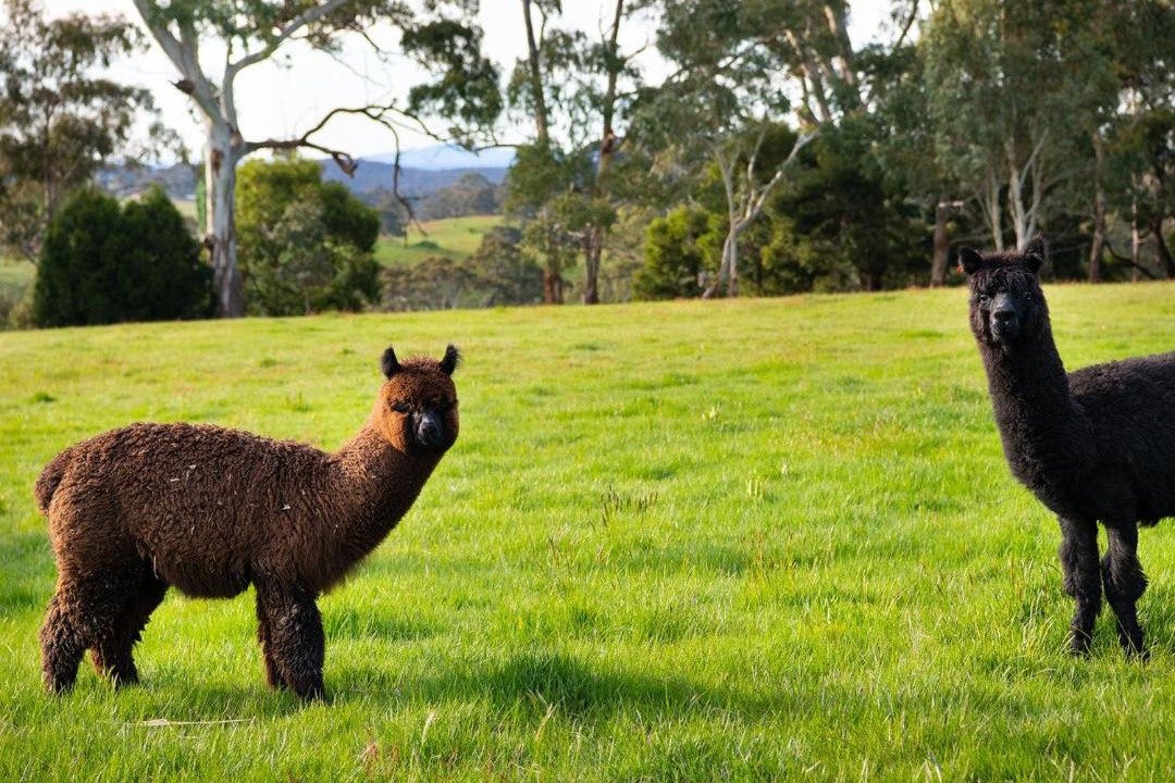 Photo of Others in Glenlyon