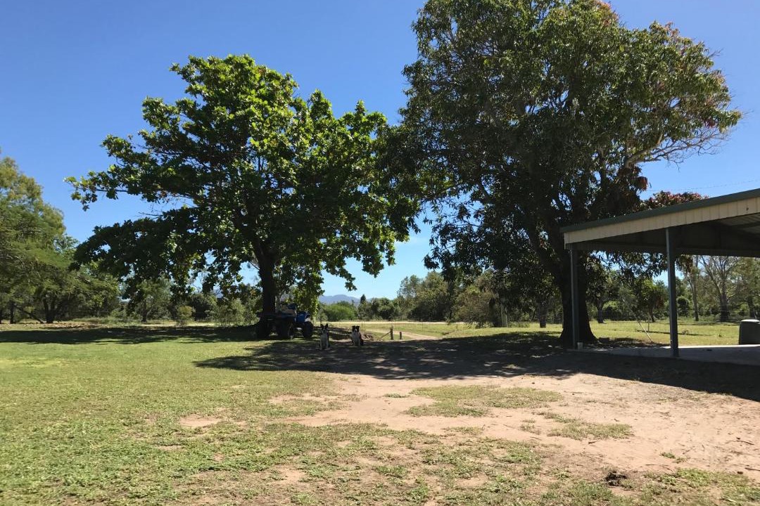Photo of Buildings in Guthalungra