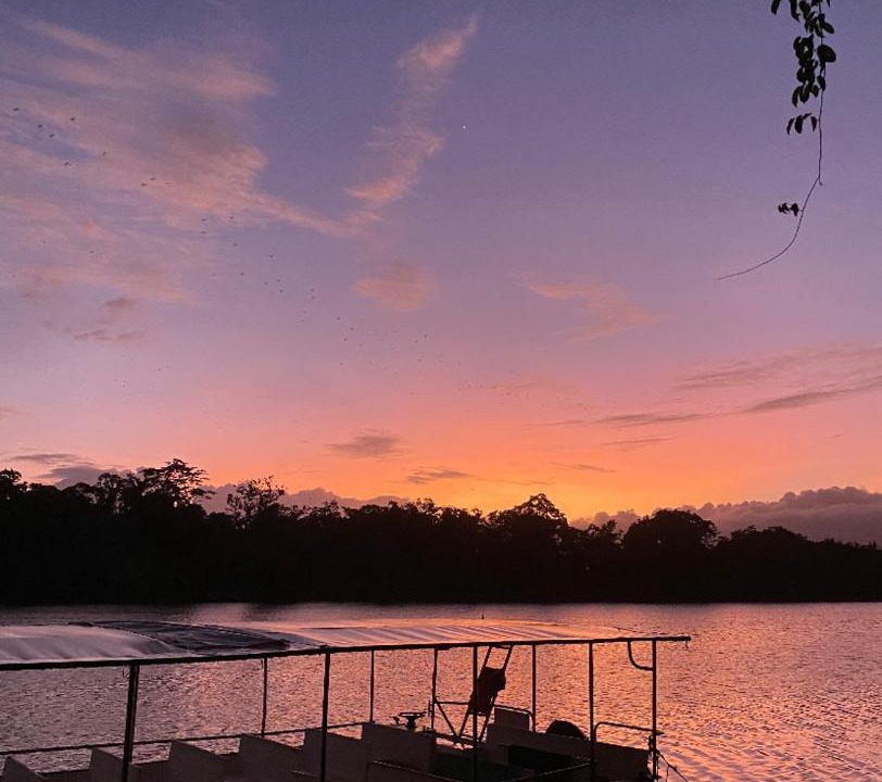 Photo of Others in Daintree