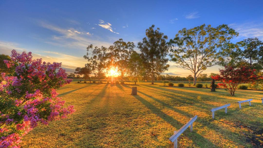 Photo of Others in Gilgandra
