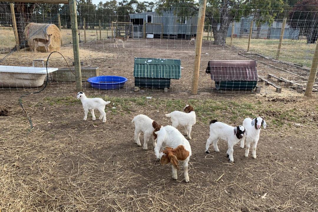 Photo of Others in Violet Town