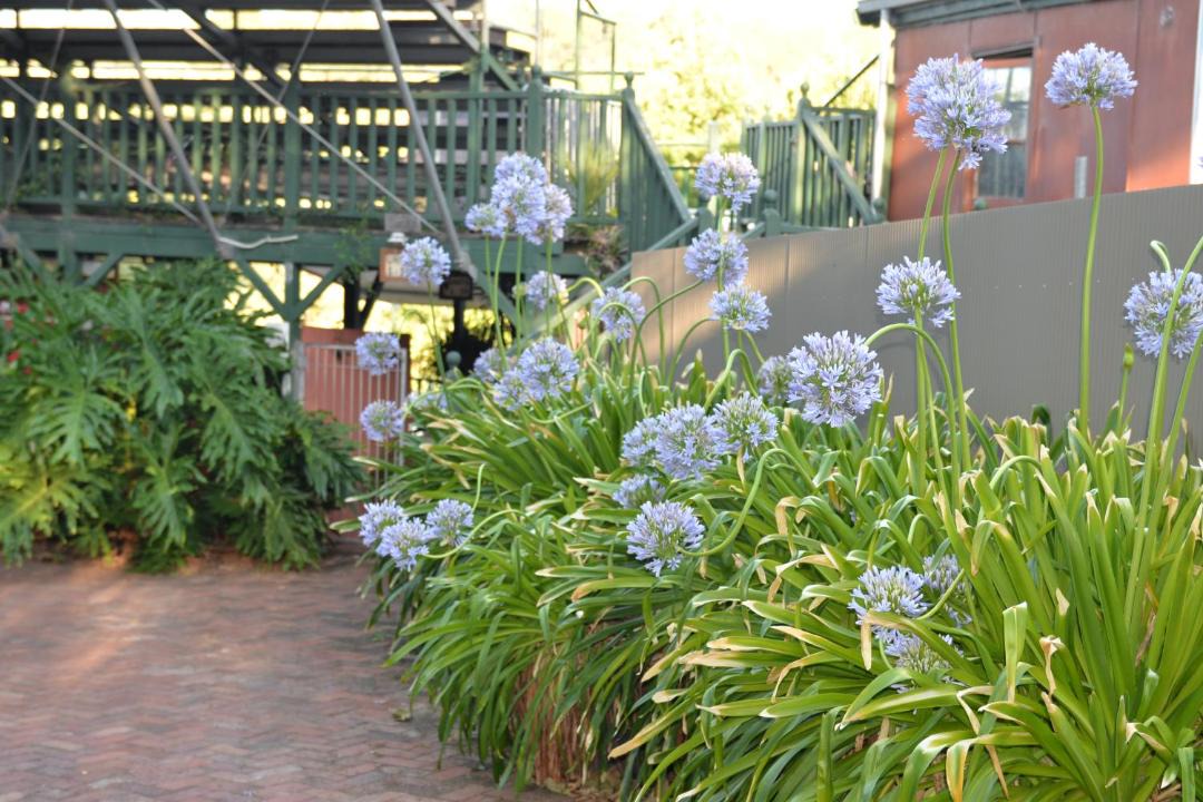 Photo of Others in Mundaring