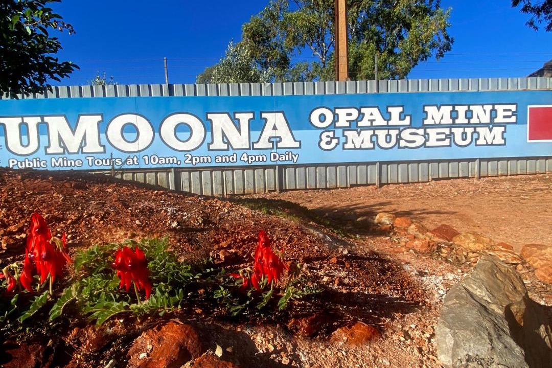 Photo of Others in Coober Pedy