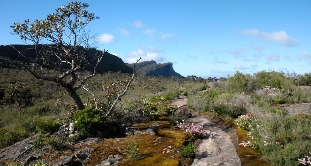 Photo of Others in Halls Gap