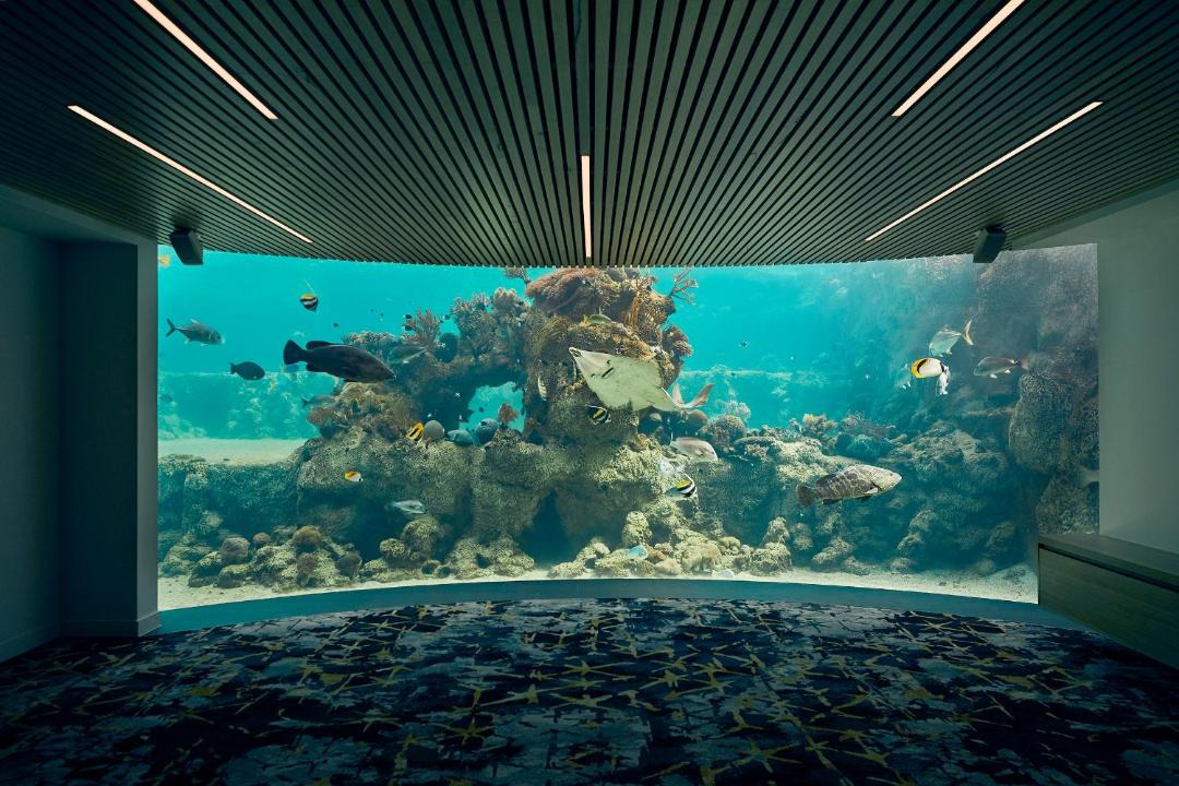 Photo of Others in Daydream Island