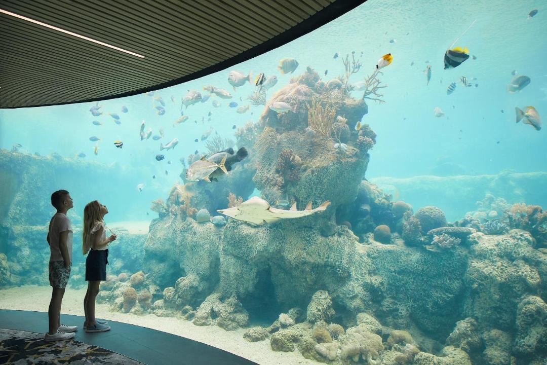 Photo of Others in Daydream Island