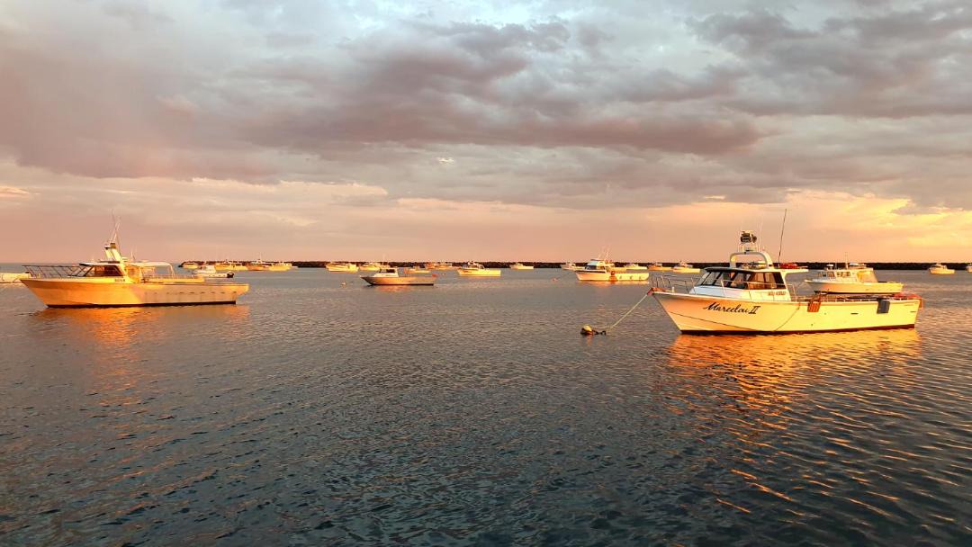 Photo of Others in Port Macdonnell