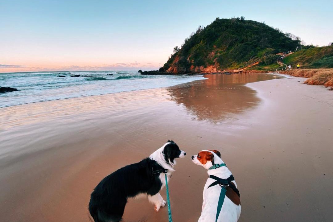 Photo of Others in Port Macquarie