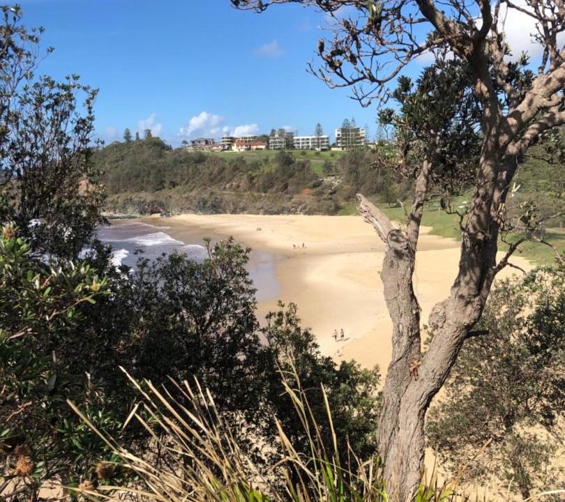 Photo of Others in Port Macquarie