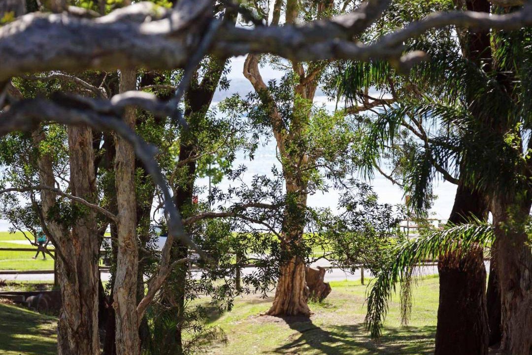 Photo of Others in Nelson Bay
