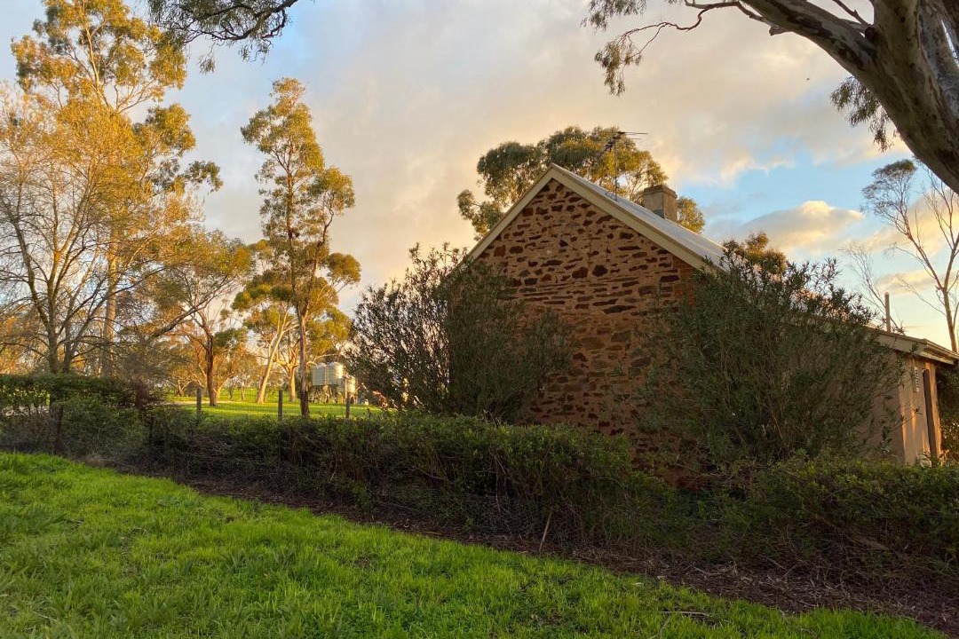 Photo of Others in Lyndoch