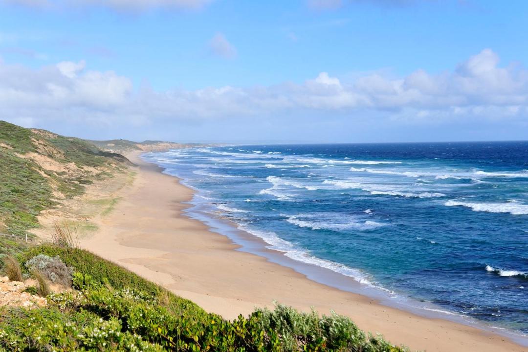 Photo of Others in Portsea