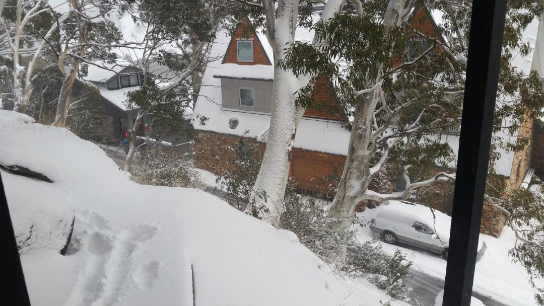 Photo of Others in Thredbo