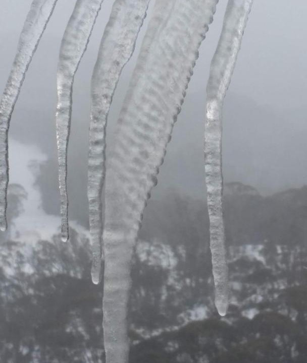 Photo of Others in Thredbo