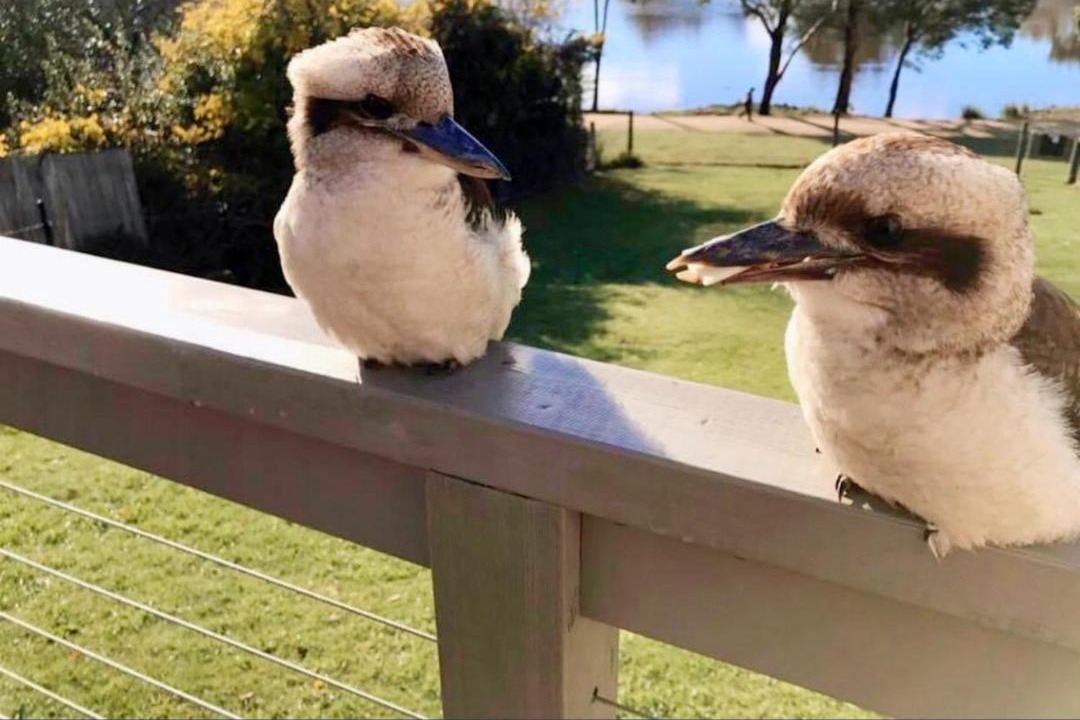 Photo of Others in Daylesford