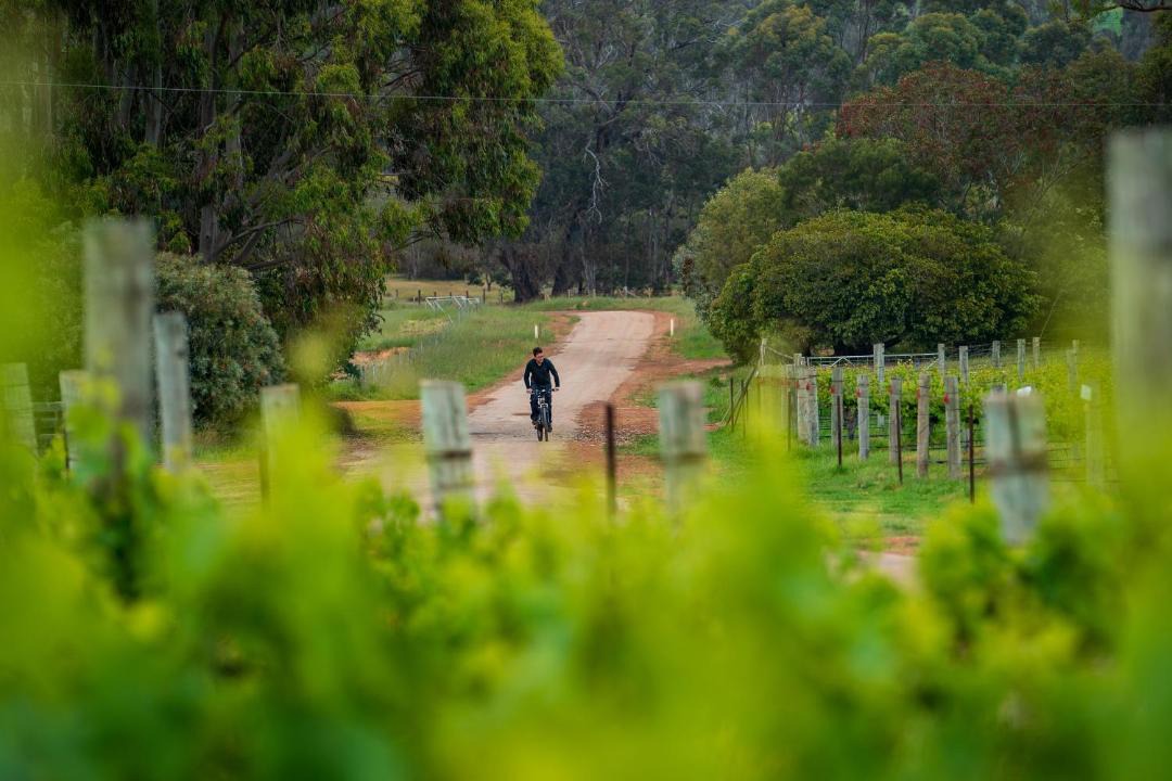 Photo of Others in Frankland River